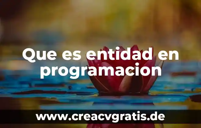 Qué es una abstracción en programación 5 Que es entidad en programacion