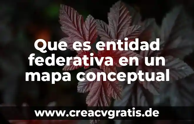 Qué es una entidad y tipos de entidades 4 Que es entidad federativa en un mapa conceptual