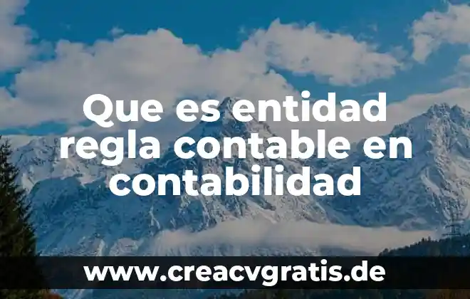 Qué es una entidad y tipos de entidades 8 Que es entidad regla contable en contabilidad