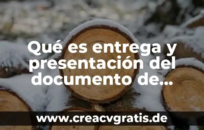 Que es presentacion y tratamiento de la informaci贸n 3 Qu茅 es entrega y presentaci贸n del documento de proyecto