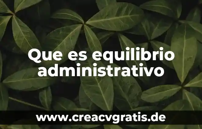 Que es el equilibrio en el mercado de dinero 3 Que es equilibrio administrativo