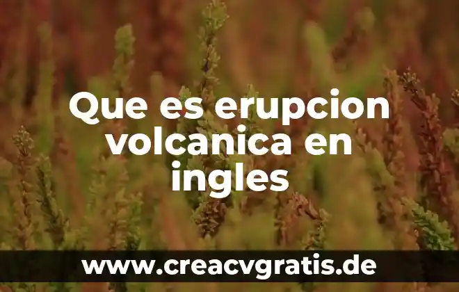 Que es lenguaje significado 5 Que es erupcion volcanica en ingles