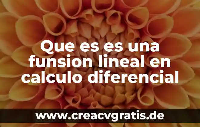 Que es el sol de la ecuación diferencial 4 Que es es una funsion lineal en calculo diferencial