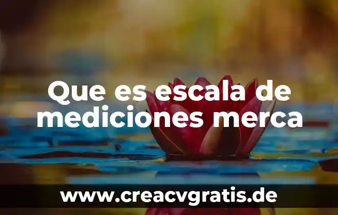 Globalizacion que es en merca 3 Que es escala de mediciones merca