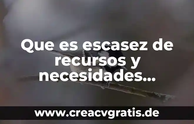 Que es una encuesta de evaluacion de necesidades 4 Que es escasez de recursos y necesidades ilimitadas