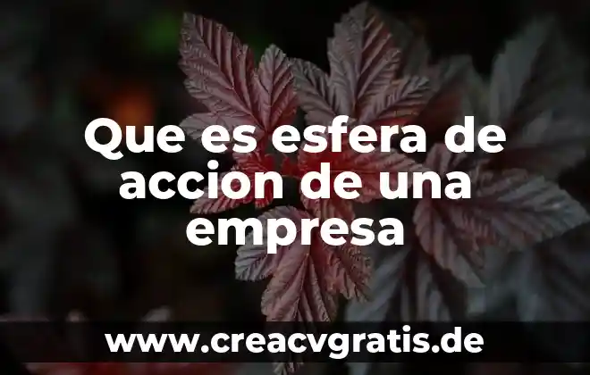 Que es sistemas de la empresa 8 Que es esfera de accion de una empresa