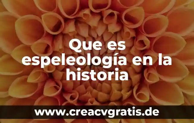 Que es el cuerpo oseo del ser humano 3 Que es espeleología en la historia