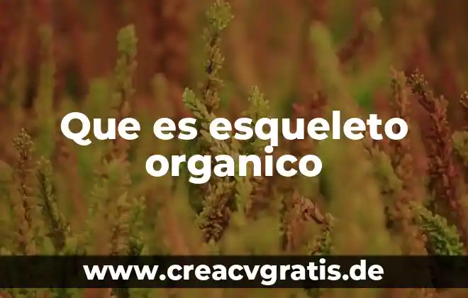 Qué es lixiviado orgánico 8 Que es esqueleto organico