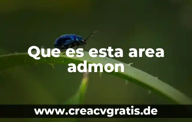 Que es el area de proyectos en una empresa 6 Que es esta area admon