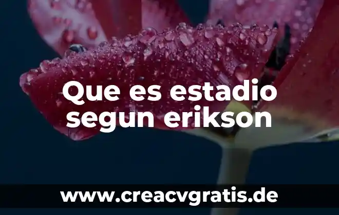 Que es la lógica según la ontología 4 Que es estadio segun erikson