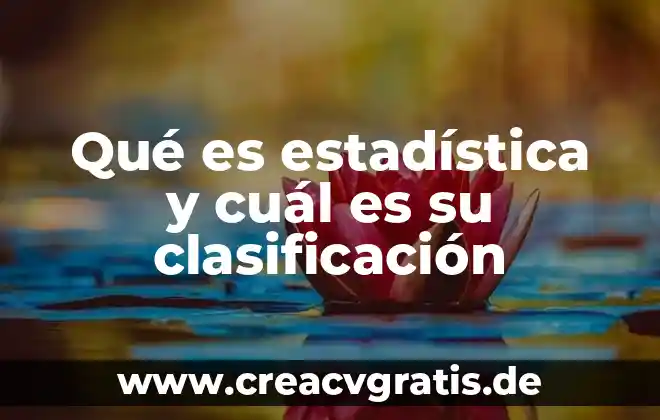 Tipos de datos en estadística 7 Qué es estadística y cuál es su clasificación