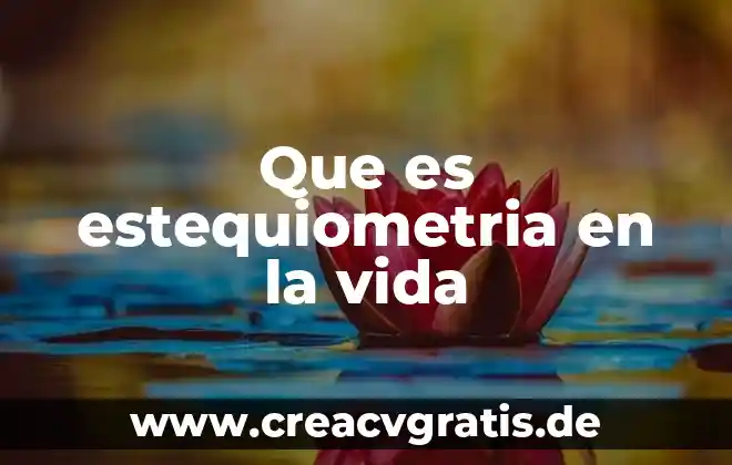 Que es estequiometria base a combustible 6 Que es estequiometria en la vida