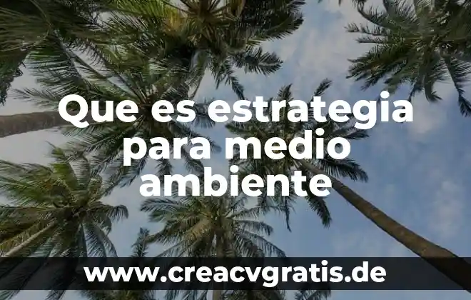Que es un medio de contraste y sus tipos 5 Que es estrategia para medio ambiente
