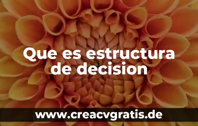 Qué es detox significado 7 Que es estructura de decision
