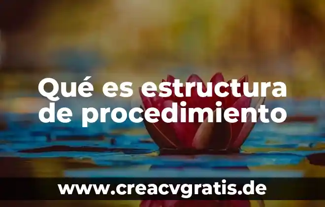 Que es la estructura para marx 8 Qué es estructura de procedimiento