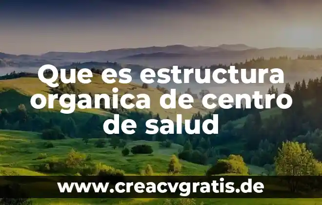 Que es salud tipos 8 Que es estructura organica de centro de salud