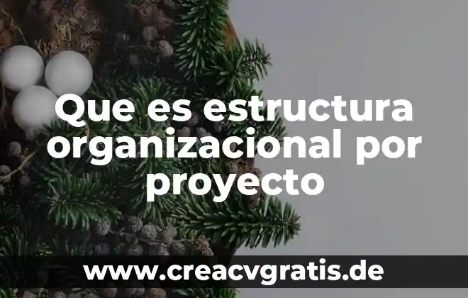 Por que es importante cumplir los antojos en el embarazo 4 Que es estructura organizacional por proyecto