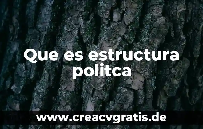 Que es un argumento y como se estructura 4 Que es estructura politca