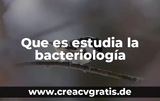 Que es estetica como se estudia 6 Que es estudia la bacteriología