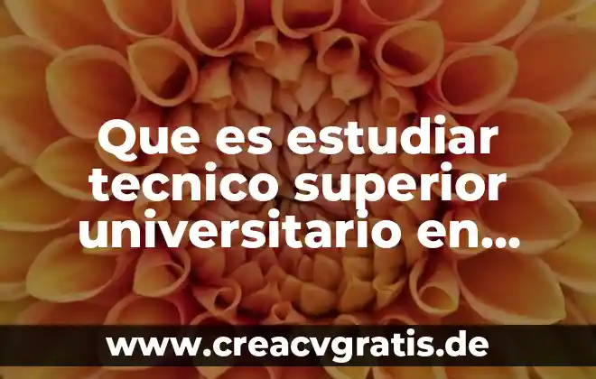 Qué es número superior 8 Que es estudiar tecnico superior universitario en mexico