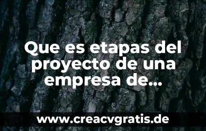 Que es etapas de crecimiento del ser humano 4 Que es etapas del proyecto de una empresa de software
