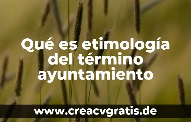 Que es umn termino en español 3 Qué es etimología del término ayuntamiento