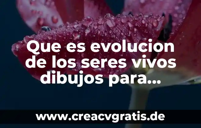 Organización de los seres vivos que es 3 Que es evolucion de los seres vivos dibujos para colorear