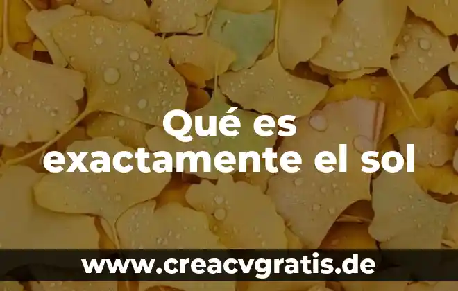 Qué es la sarna y cómo se desarrolla en gatos 5 Qué es exactamente el sol