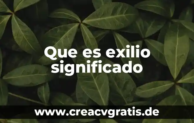 Adobe Premiere Pro para que es 4 Que es exilio significado