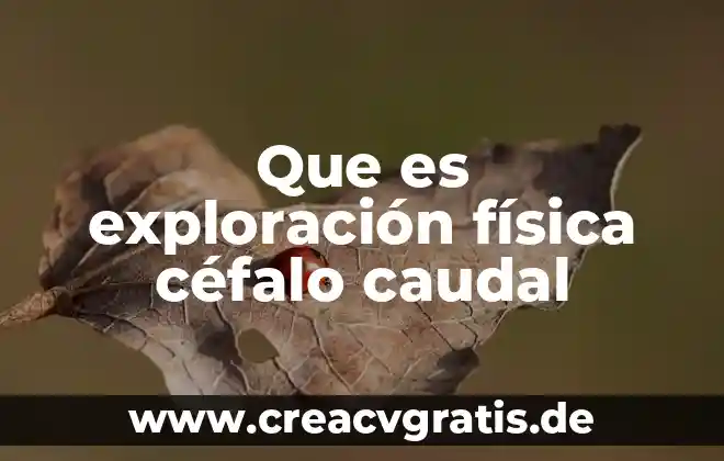 Qué es fuerza recurrente en física 3 Que es exploración física céfalo caudal