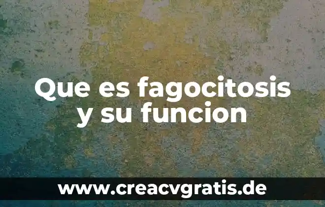Qué es una función lógica 8 Que es fagocitosis y su funcion