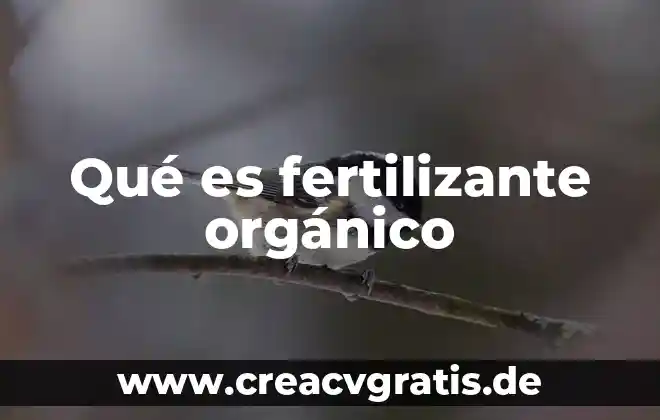 Qué es el flux organico 4 Qué es fertilizante orgánico