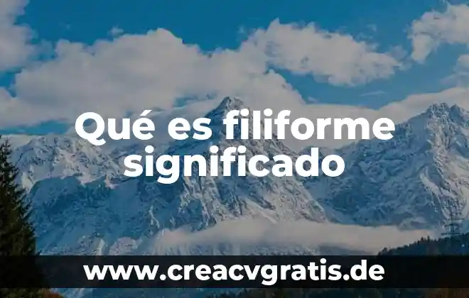Que es determinista significado 4 Qué es filiforme significado