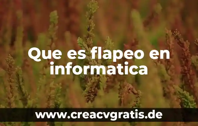 Que es stingray en informatica 4 Que es flapeo en informatica