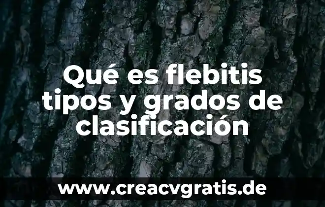 Que es cohecho y sus tipos 3 Qué es flebitis tipos y grados de clasificación