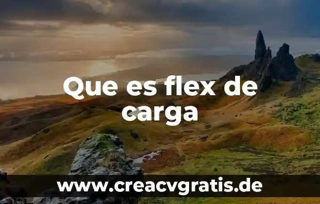 Carga moral que es 4 Que es flex de carga