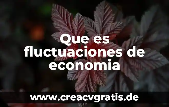 Que es el credito compuesto 8 Que es fluctuaciones de economia
