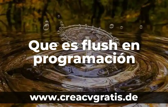 Que es un core en programacion 4 Que es flush en programación