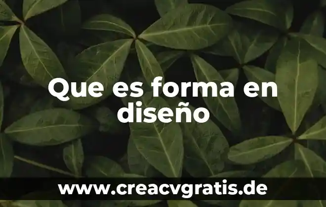 Consulta que es una bodega y para que sirve 8 Que es forma en diseño