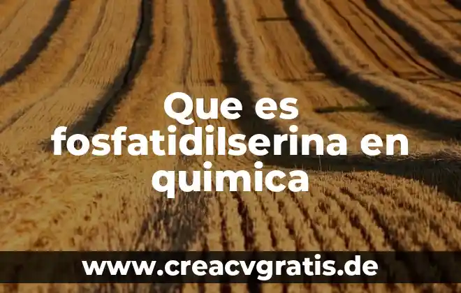 Qué es un bien según menger 3 Que es fosfatidilserina en quimica