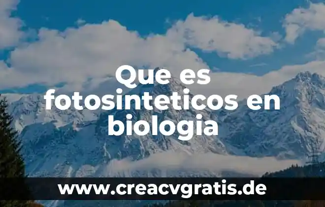 Prueba rapida de embarazo en sangre que es 4 Que es fotosinteticos en biologia