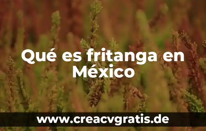 Que es coyunturas politicas en mexico 7 Qué es fritanga en México