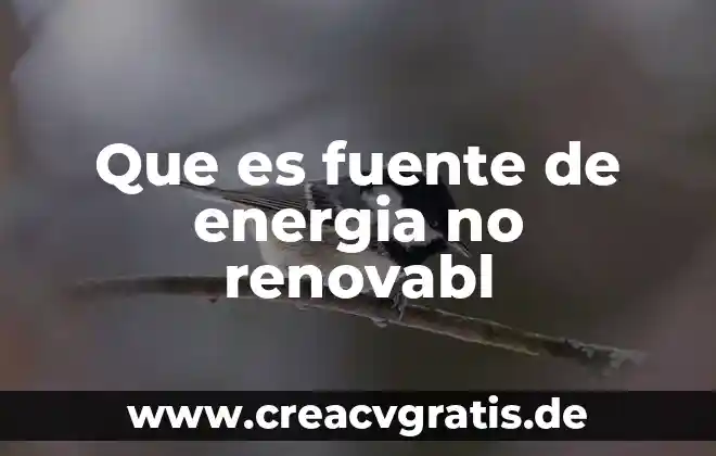 Que es una fuente y cuantos tipos de fuentes hay 4 Que es fuente de energia no renovabl