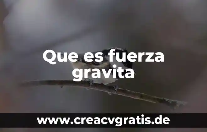 Qué es la fuerza de gravedad definición para niños 8 Que es fuerza gravita