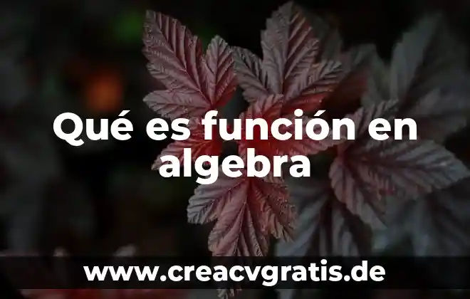Que es la funcion hidraulica 5 Qué es función en algebra