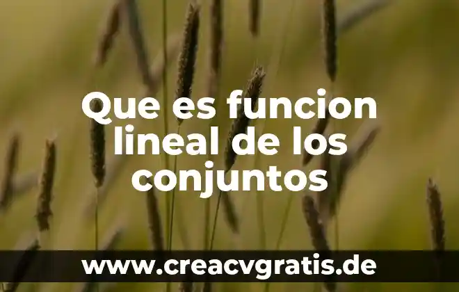 Qué es euforia psicología 6 Que es funcion lineal de los conjuntos