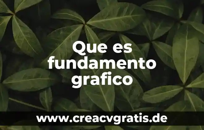 Que es el grafico en flash 5 Que es fundamento grafico