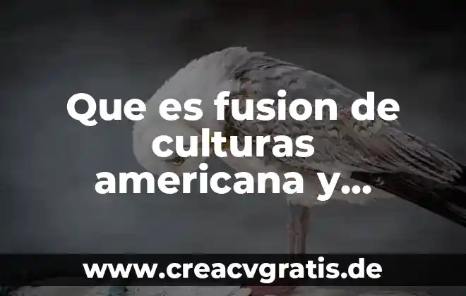 Que es fusion del agua para niños 6 Que es fusion de culturas americana y occidente