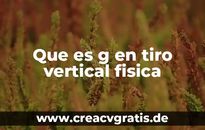 Que es capasidad fisica o motriz en educacion fisica 6 Que es g en tiro vertical fisica