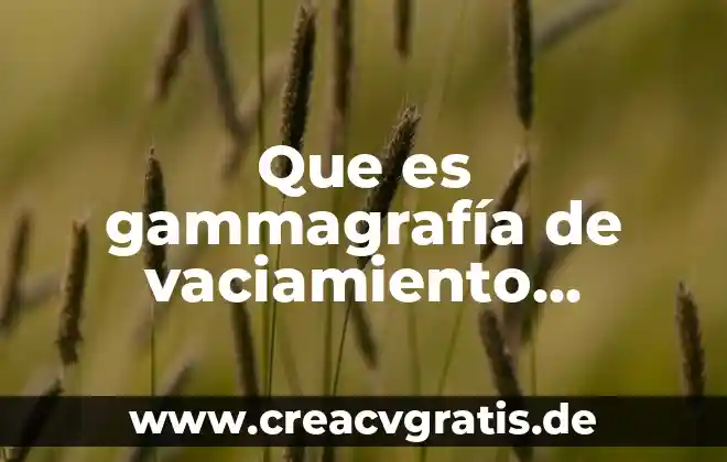 Que es una emulsion solida 3 Que es gammagrafía de vaciamiento gastrico en fase solida